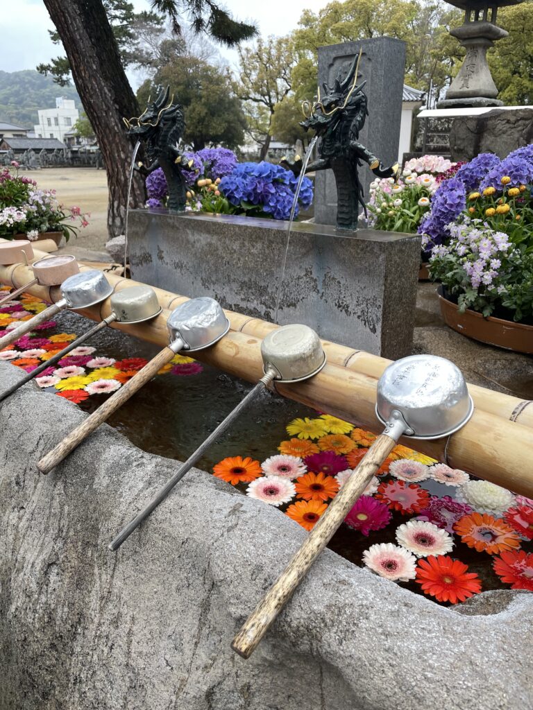 善通寺　薬師堂　花手水