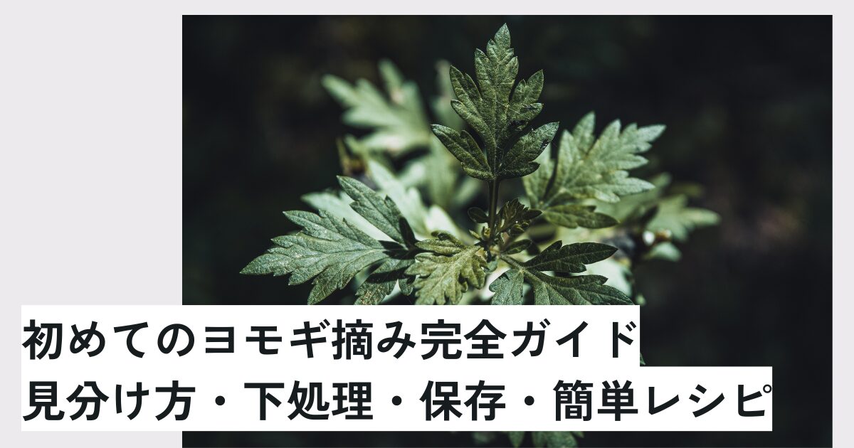 初めてのヨモギ摘み完全ガイド｜見分け方・下処理・保存・簡単レシピ